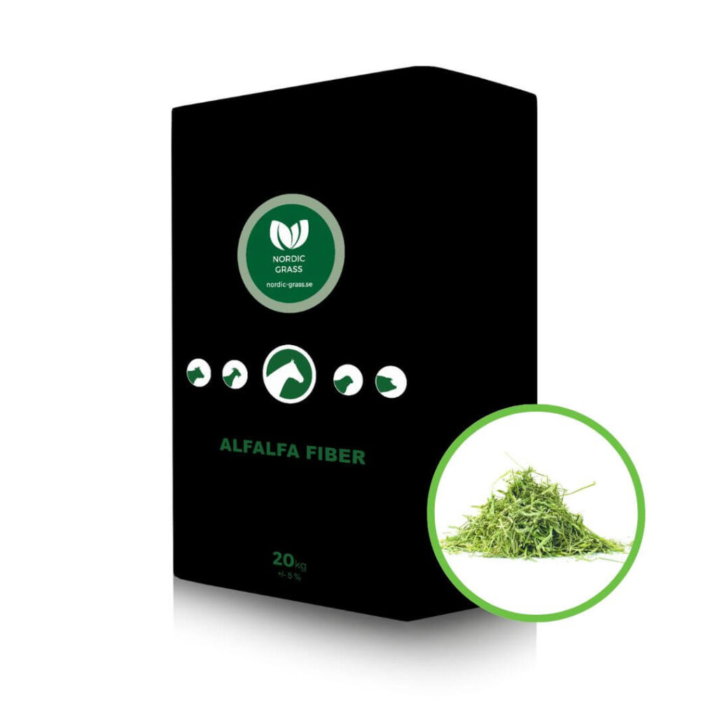 alfalfa fiber