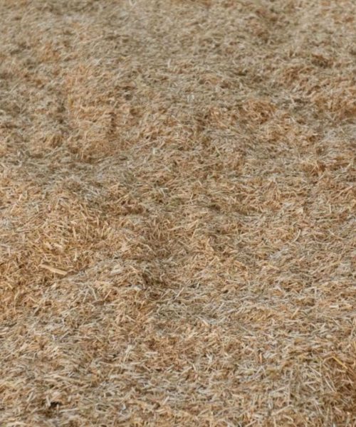 chopped rapeseed straw 2